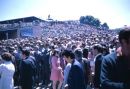 Crowd at 1972 Melbourne Cup, Flemington Racecourse, Melbourne